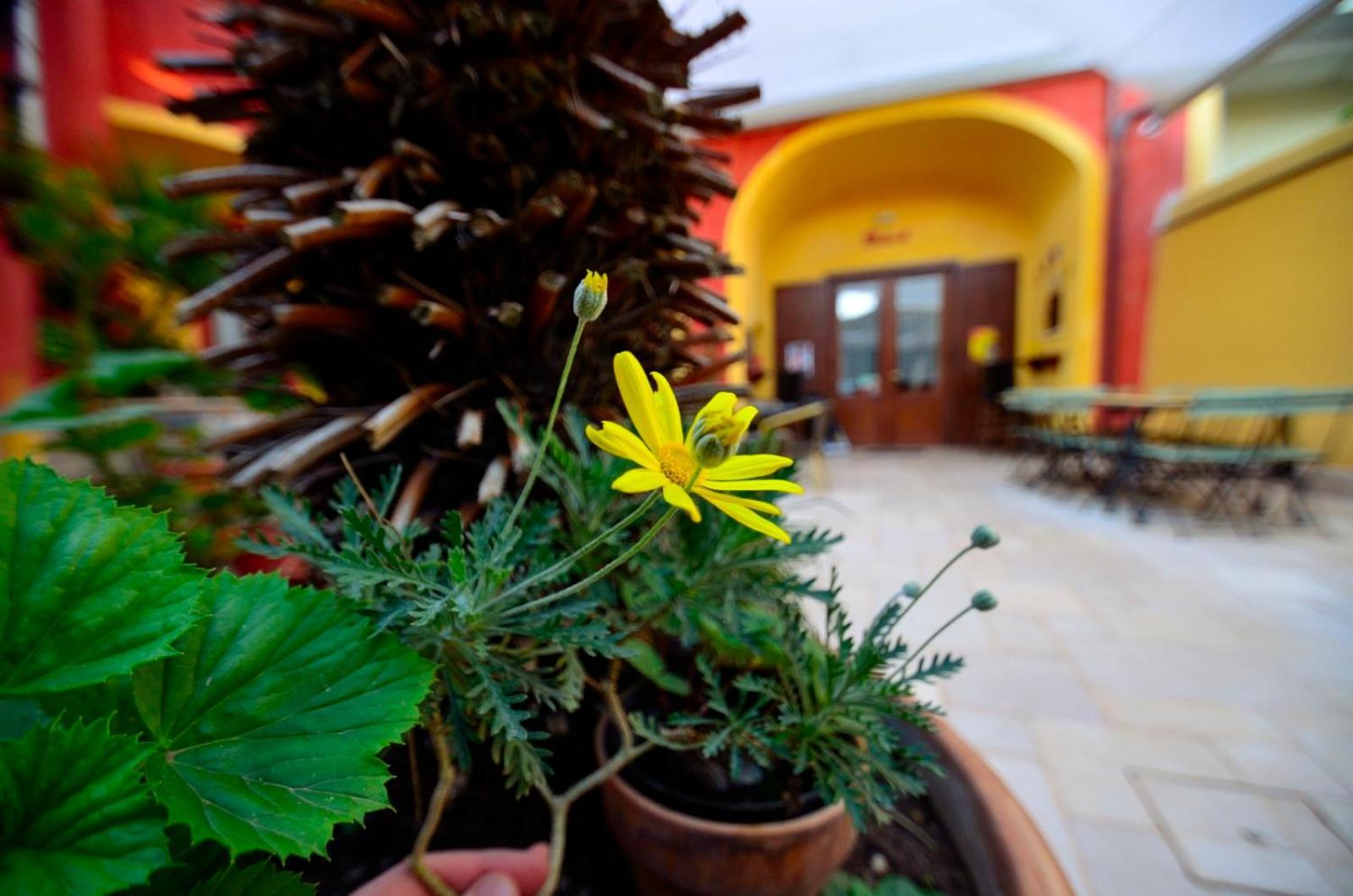 Manouche Osteria B&B San Leucio Exterior photo